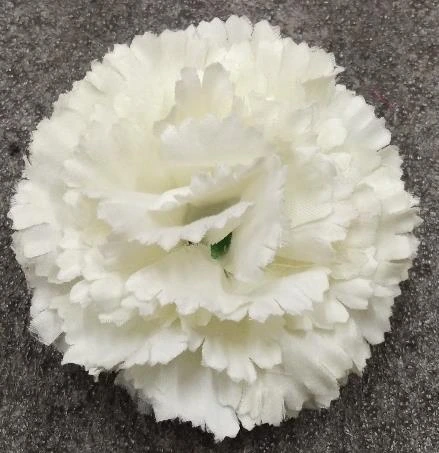 Carnation Soft